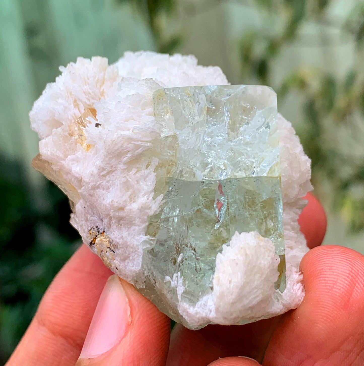 Tranpsarent Blue Aquamarine With Albite From Pakistan