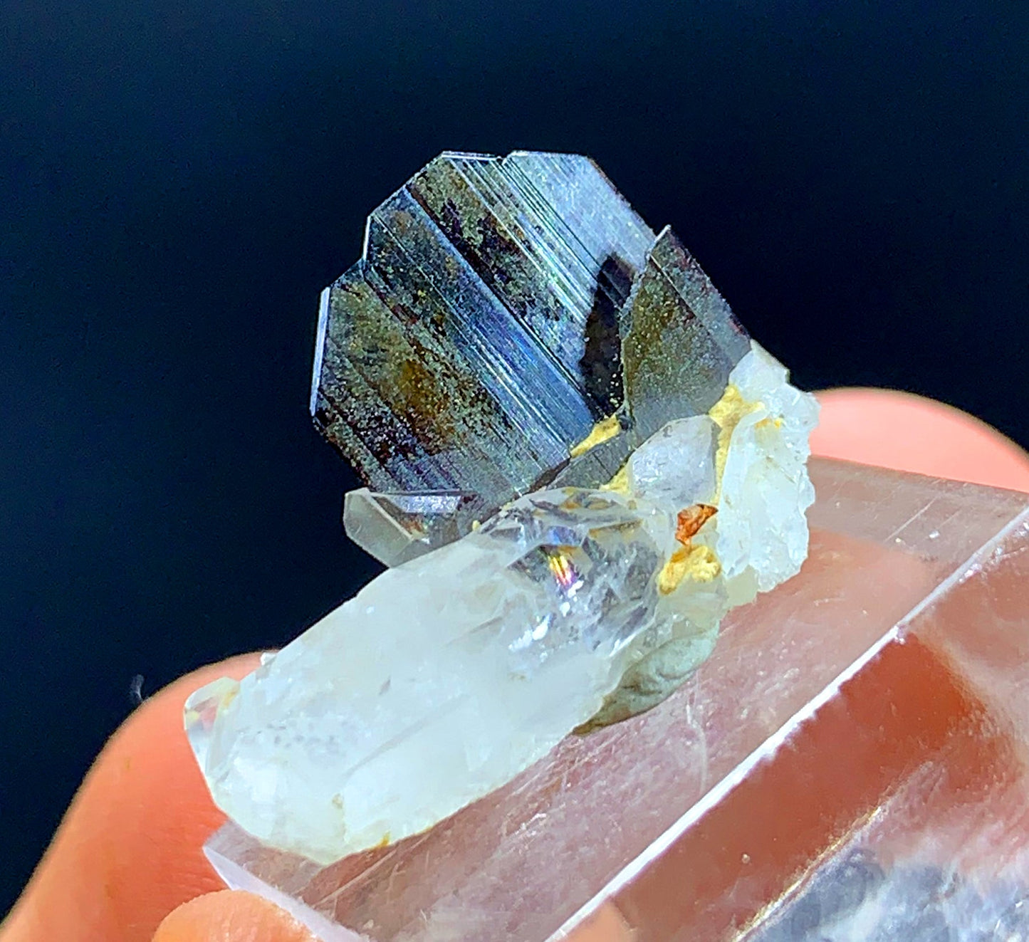 Rare Brown Brookite Crystal On Quartz From Pakistan 8.05 Carats