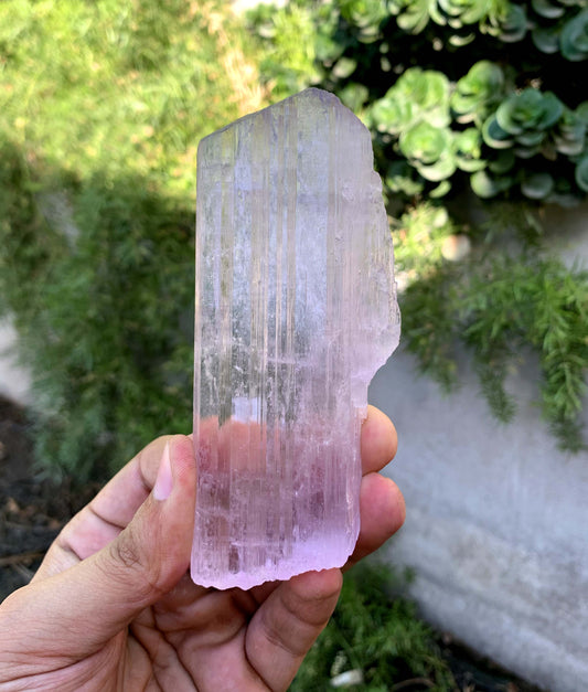 Tansparent Pink Fluorescent Kunzite Crystal From Afghnaistan - 171 Gram
