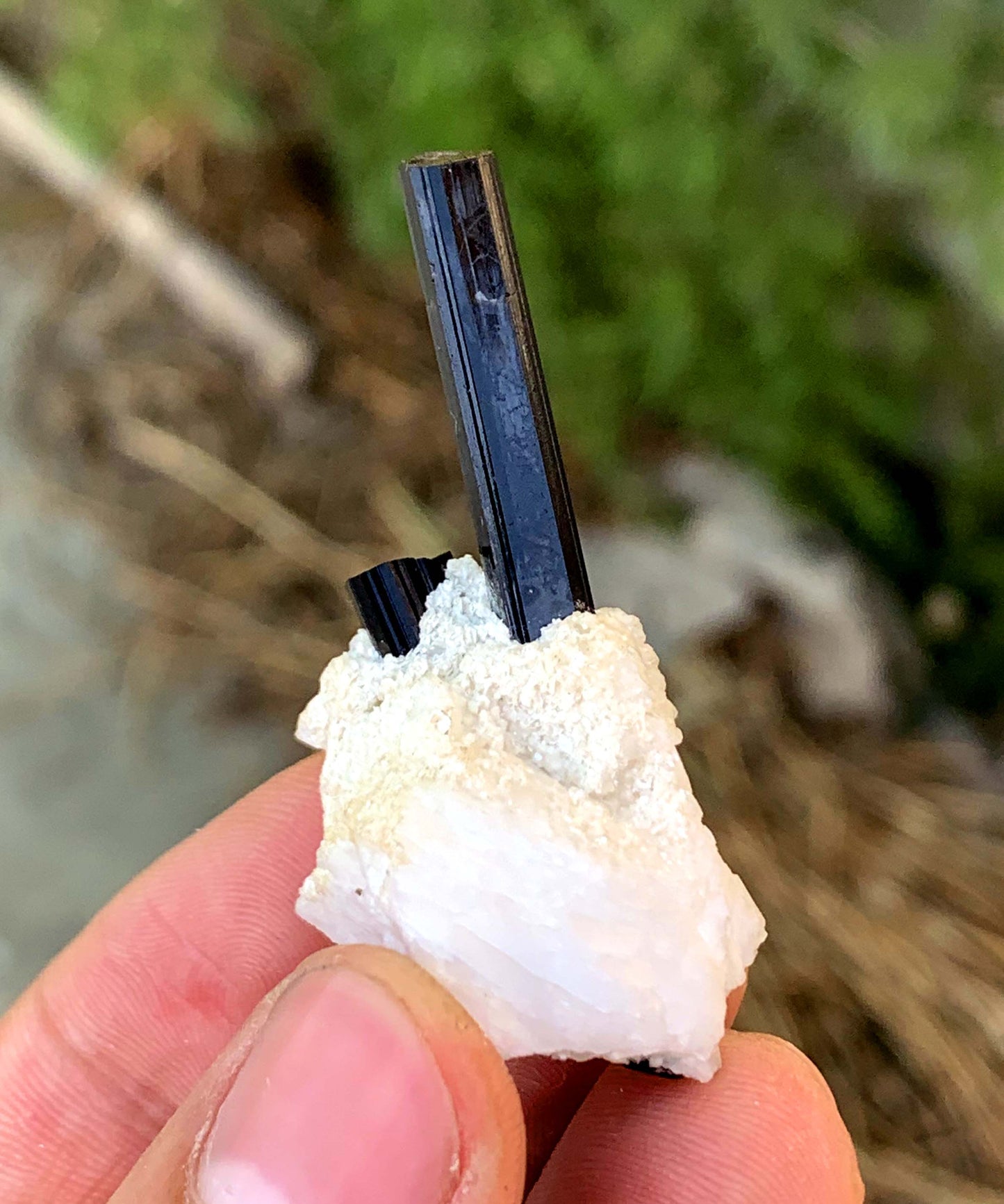 Schorl Black Tourmalines on Matrix from Pakistan - 14 gram