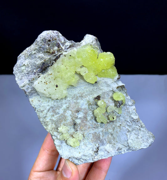 Yellow Color Bubble Brucite on Matrix from Pakistan - 541 gram