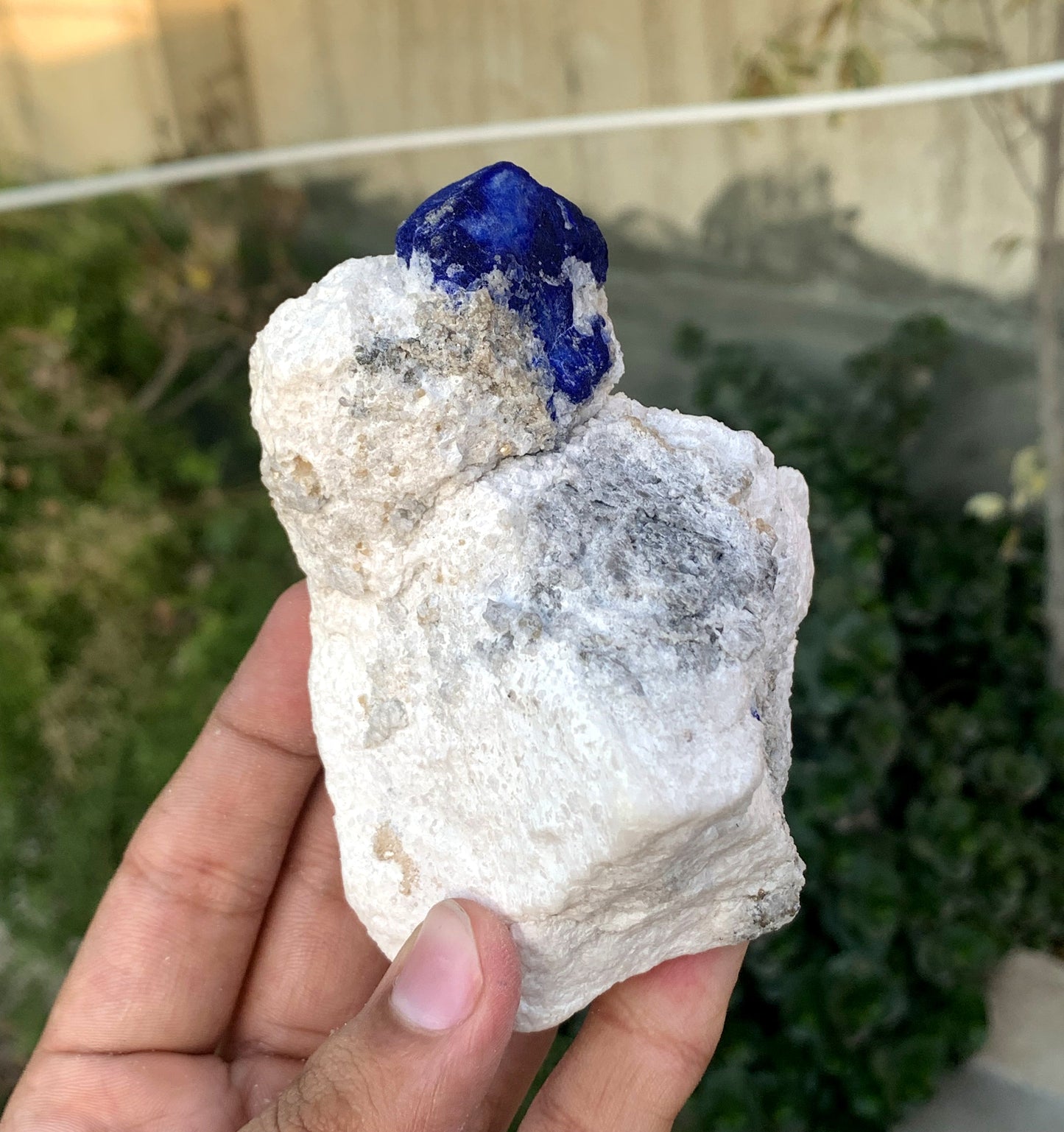 Ink Blue Lapis LAzurite WIth Golden Pyrite From Afghanistan 432 Gram