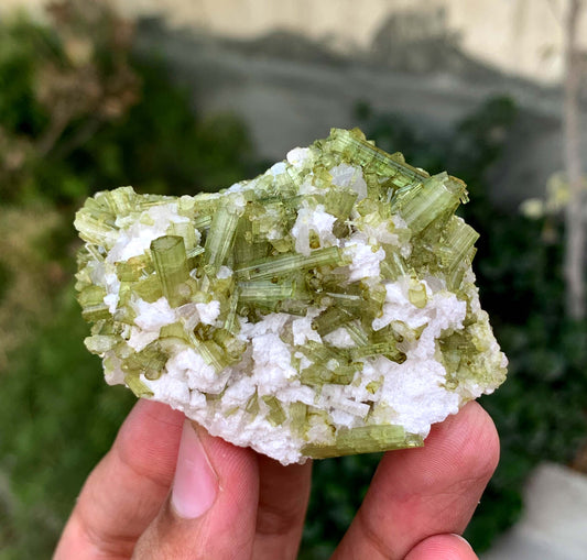 Green Tourmaline Crystals Cluster OnMatrix From Afghanistan 200 Gram