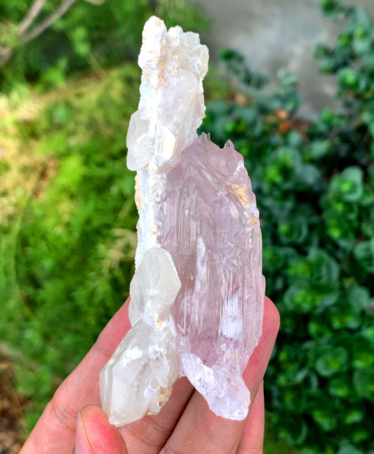 Mountain Shape Terminated Fluorescent pink Kunzite Crystal With Quartz From Afghanistan