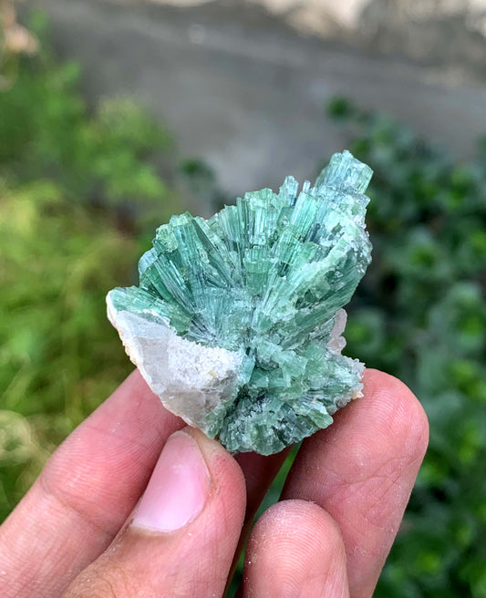 Indicolite Blue Tourmaline Bunch From Afghanistan