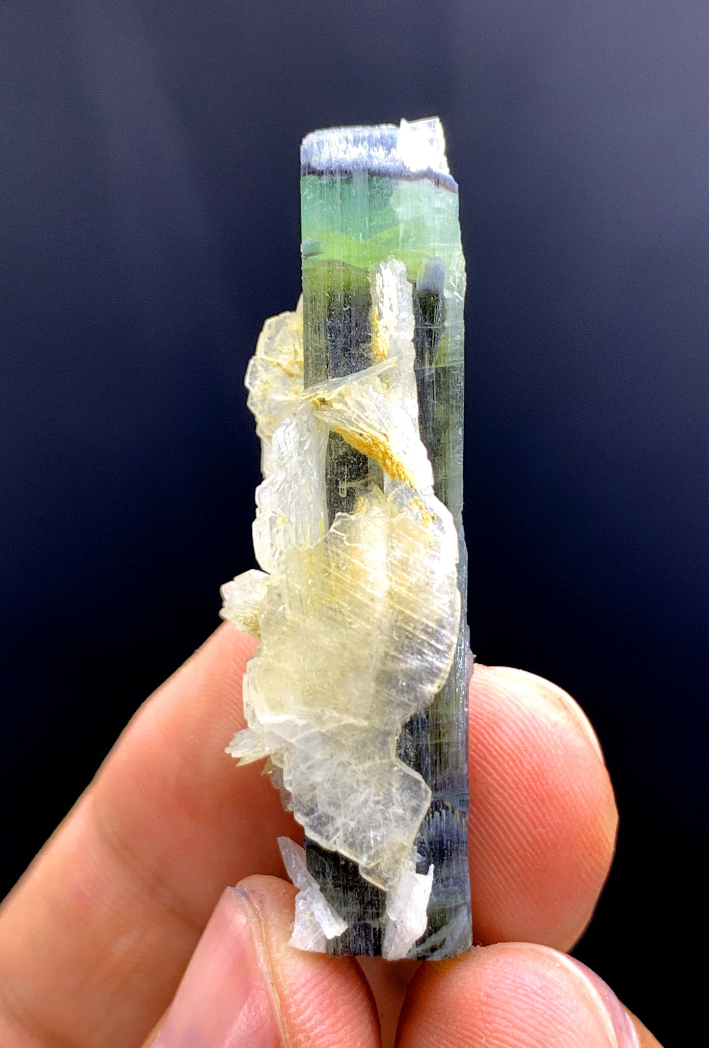 Tricolor Tourmaline on Cleavelandite Albite from Astak Nala Mine Pakistan - 10 gram