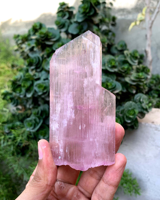 Terminated Pink Kunzite Crystal From Afghanistan - 197 Gram