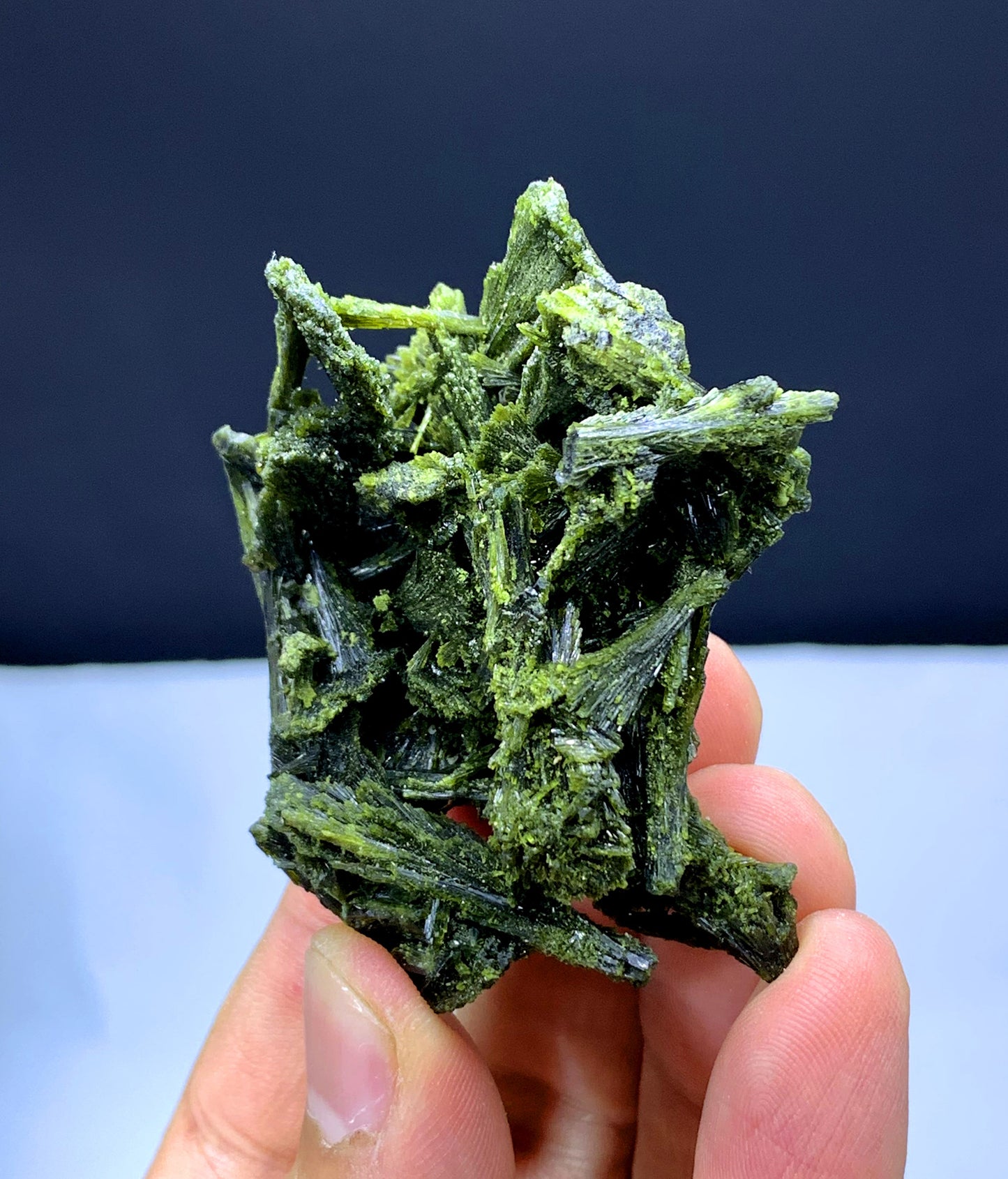 Tree Shape Lush Green Epidote Bunch - 49 gram