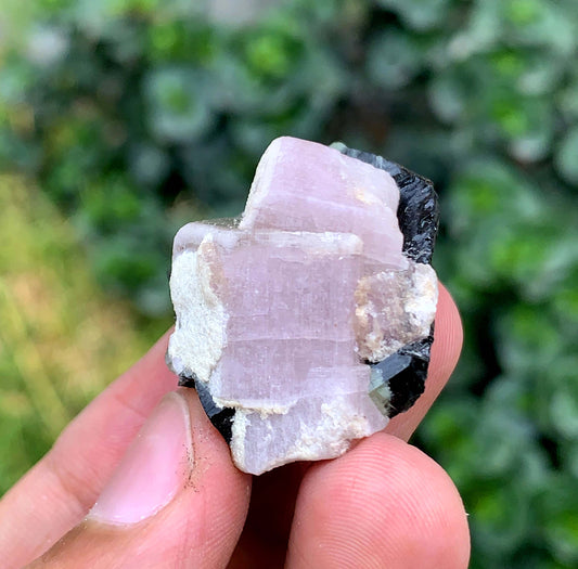 Fluorescent Pink Apatite Crystal With Tourmaline From Pakistan