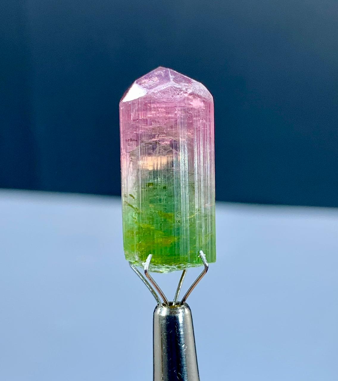 Bicolor Lipstick Tourmaline Crystal from Paprok Afghanistan - 24.50 carats