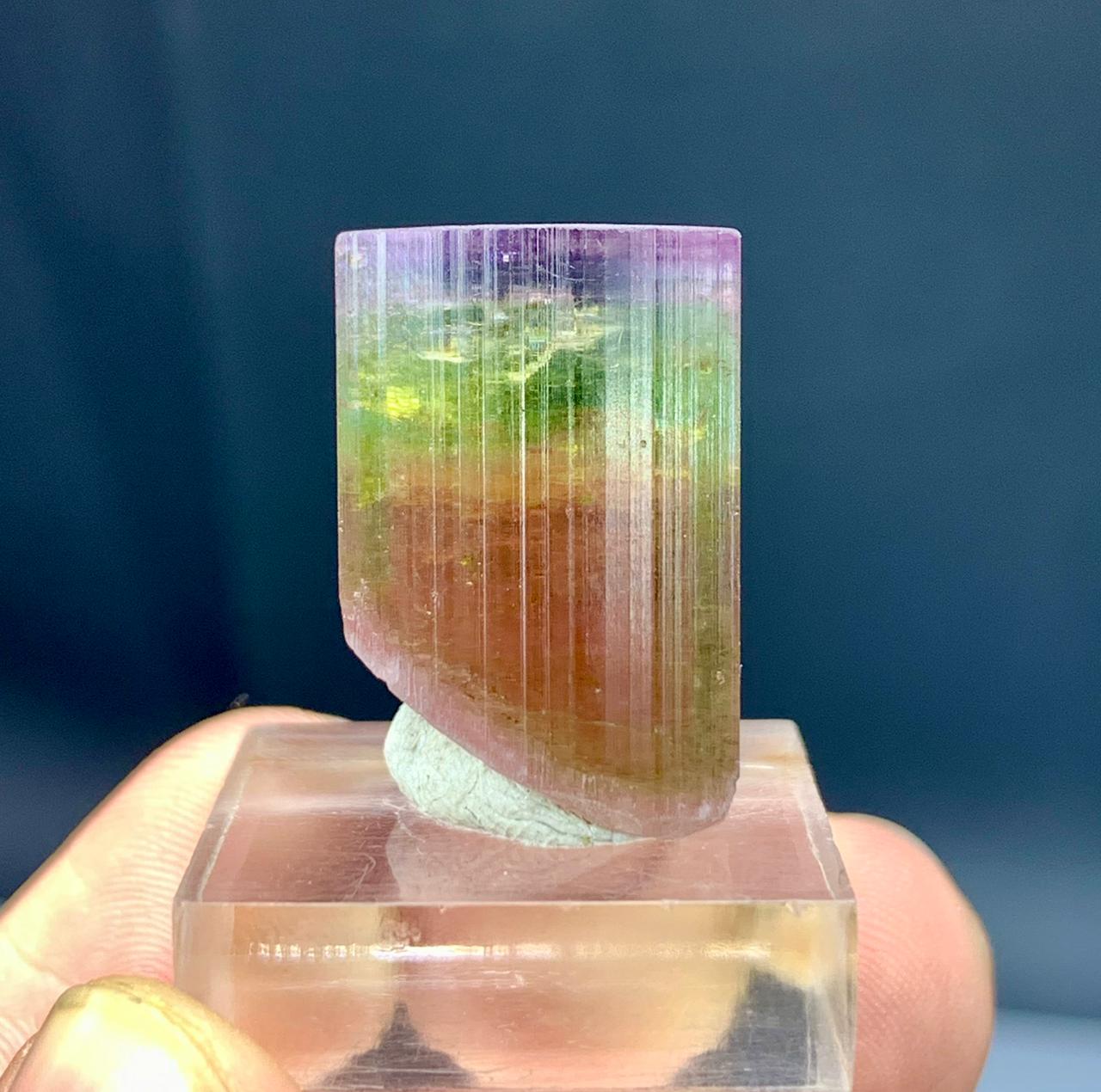 Watermelon Tourmaline Crystal from Paprok Afghanistan - 50.20 carats