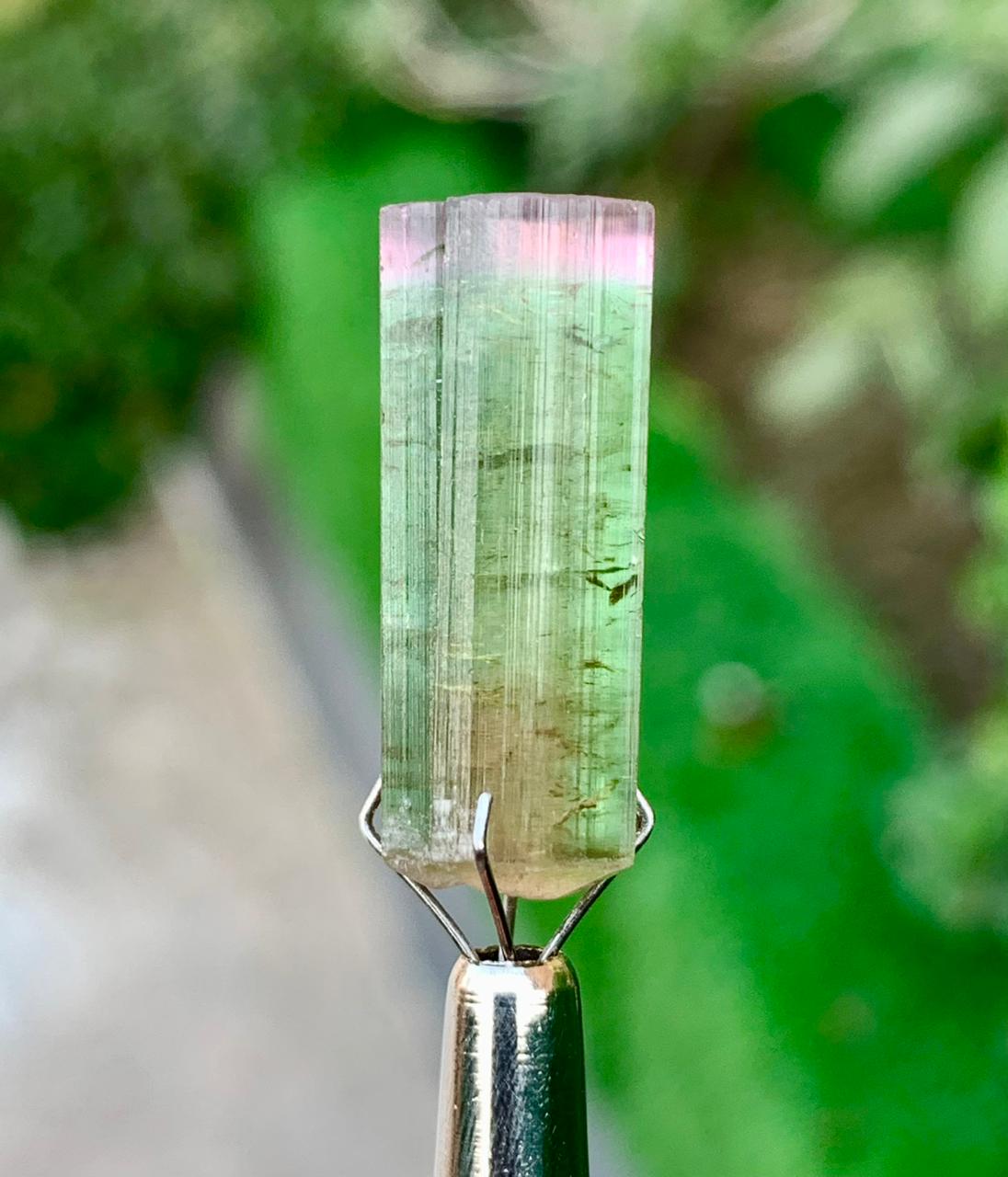 Watermelon Tourmaline Crystal from Afghanistan - 18 carats