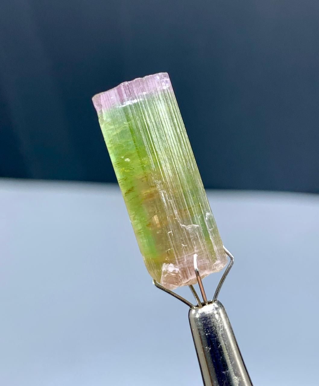 Watermelon Tourmaline Crystal from Afghanistan - 27.50 carats