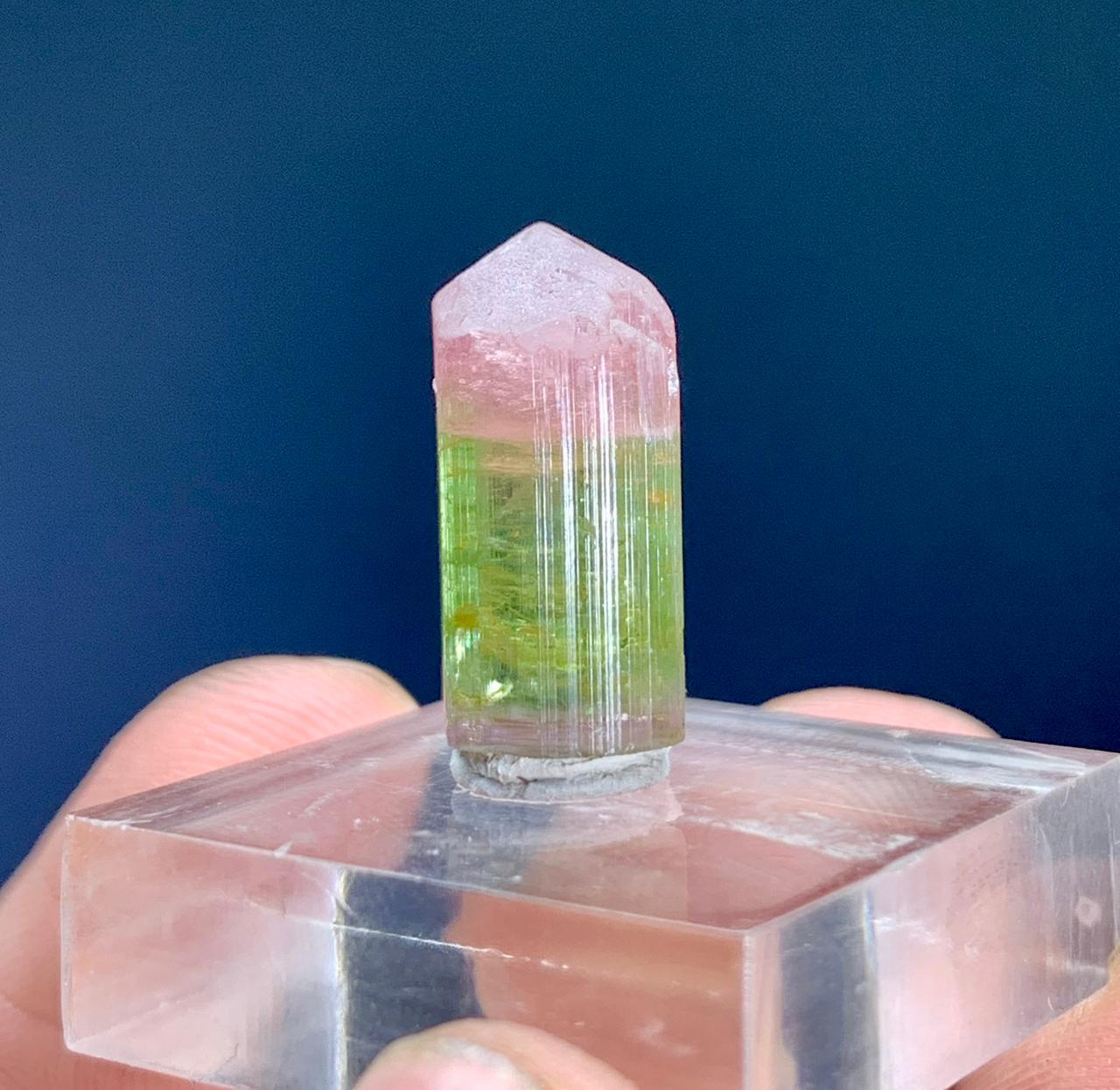Tourmaline Crystal from Paprok Afghanistan - 11.50 carats