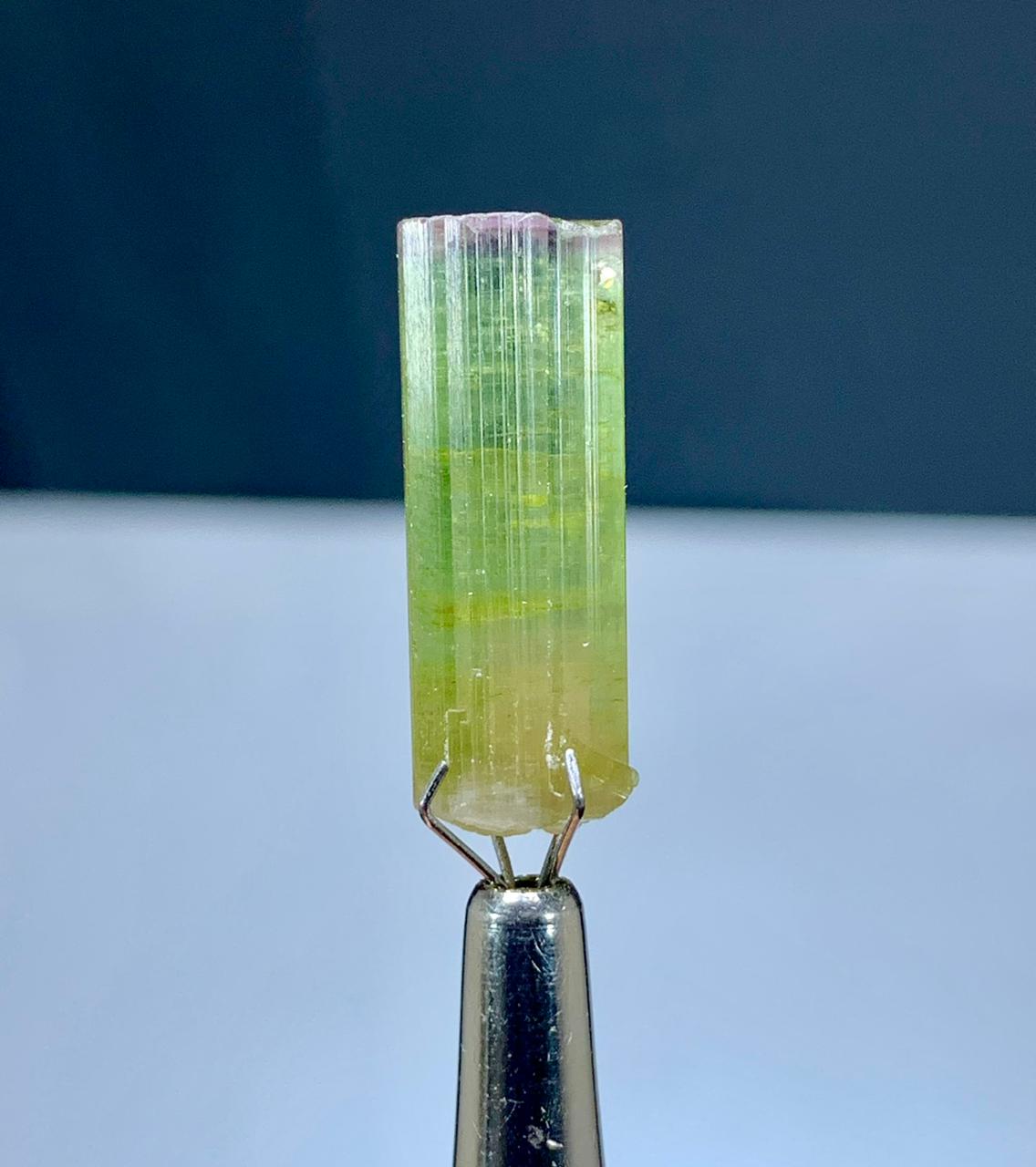 Tourmaline Crystal from Paprok Afghanistan - 17 carats