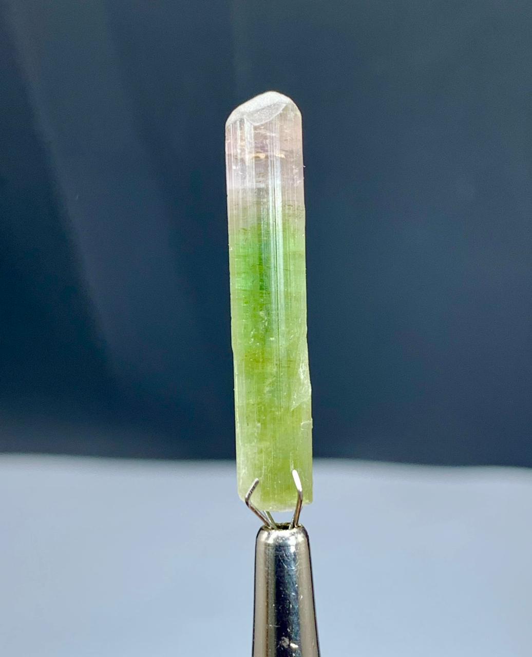 Tourmaline Crystal from Paprok Afghanistan - 12 carats