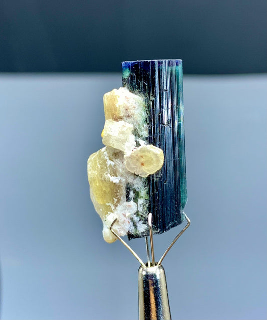 Blue Cap Tourmaline with Lepidolite from Paprok Afghanistan - 08 gram