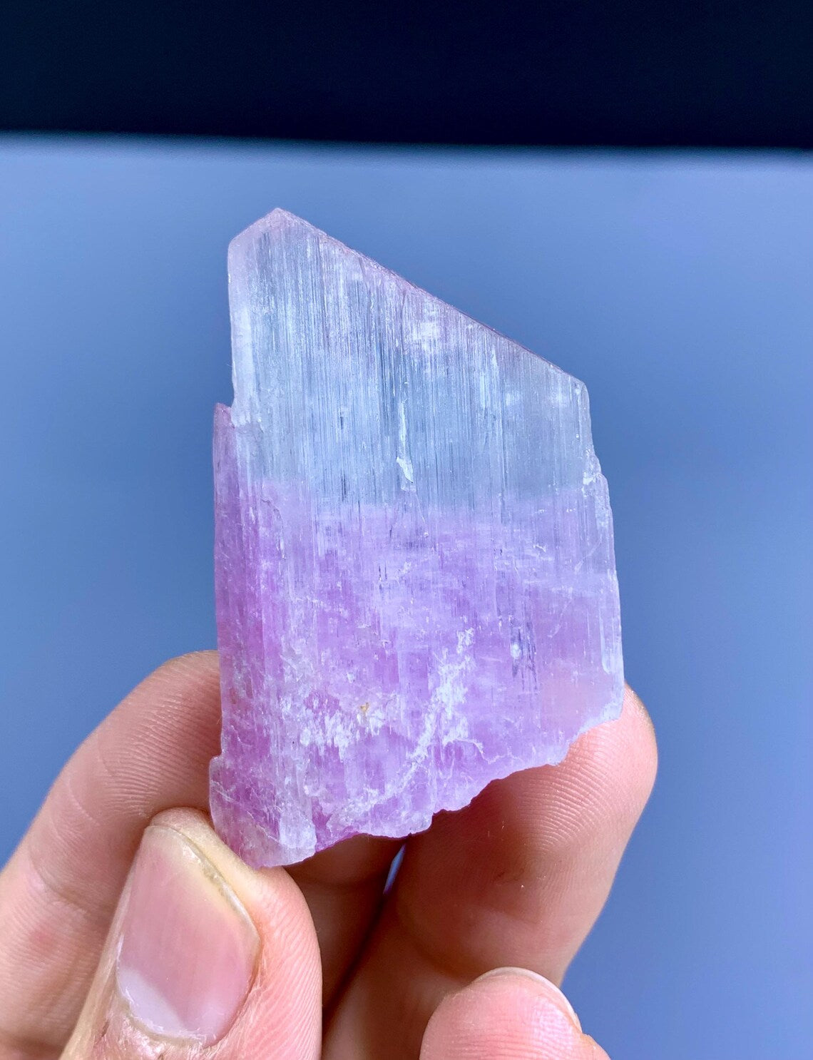 Bicolor Kunzite Crystal from Afghanistan - 21 gram
