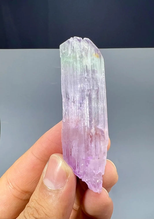 Bicolor Kunzite Crystal from Nuristan, Afghanistan - 30 gram