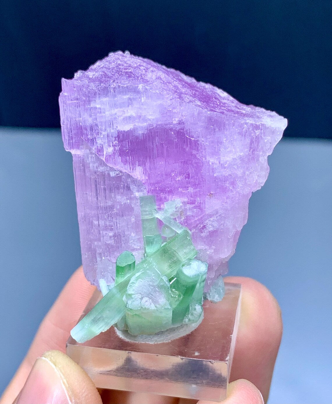 Kunzite Combine Green Tourmalines from Nuristan, Afghanistan - 32 grams