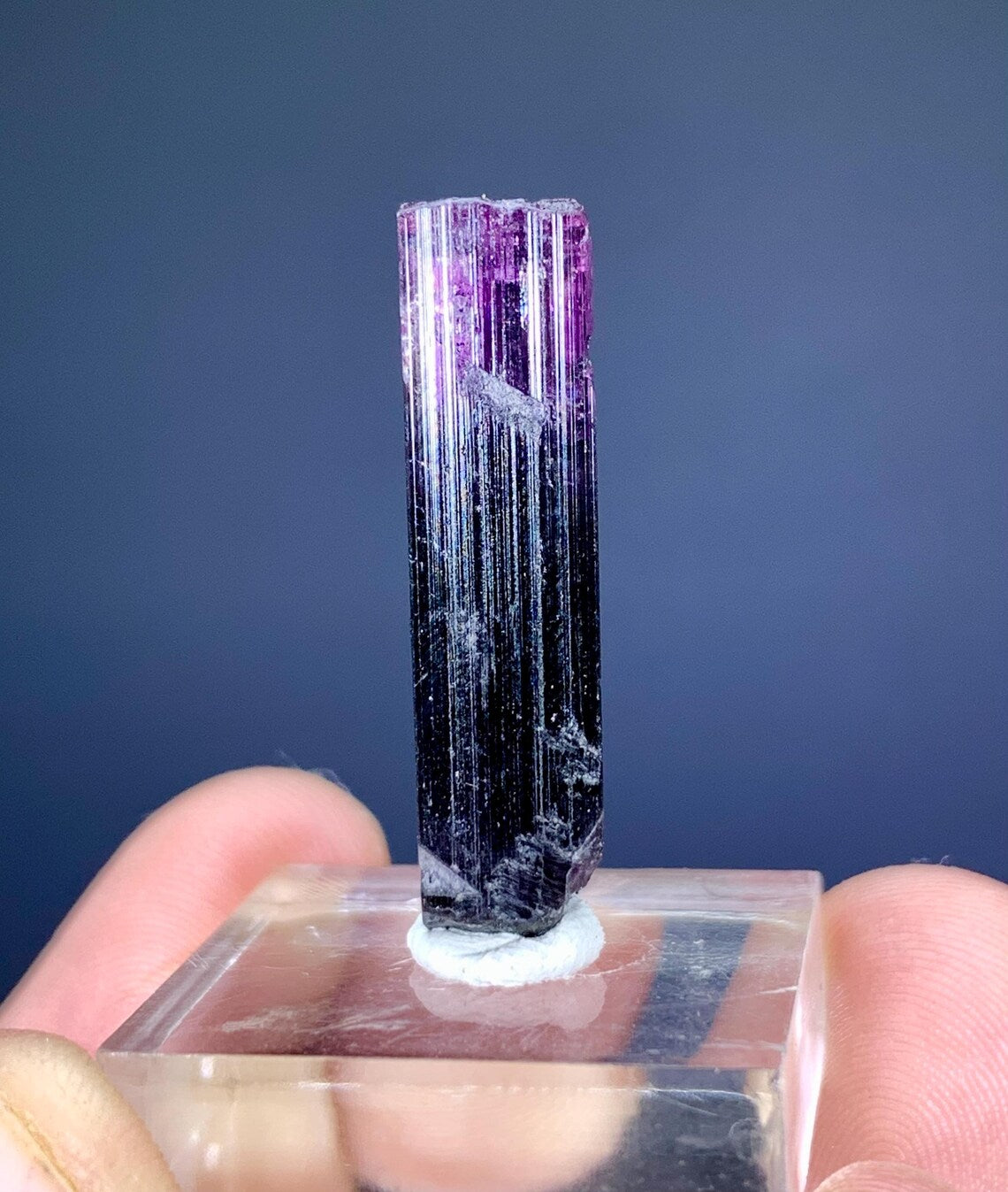 Pink Cap Bicolor Tourmaline Crystal from Afghanistan - 15.50 carats