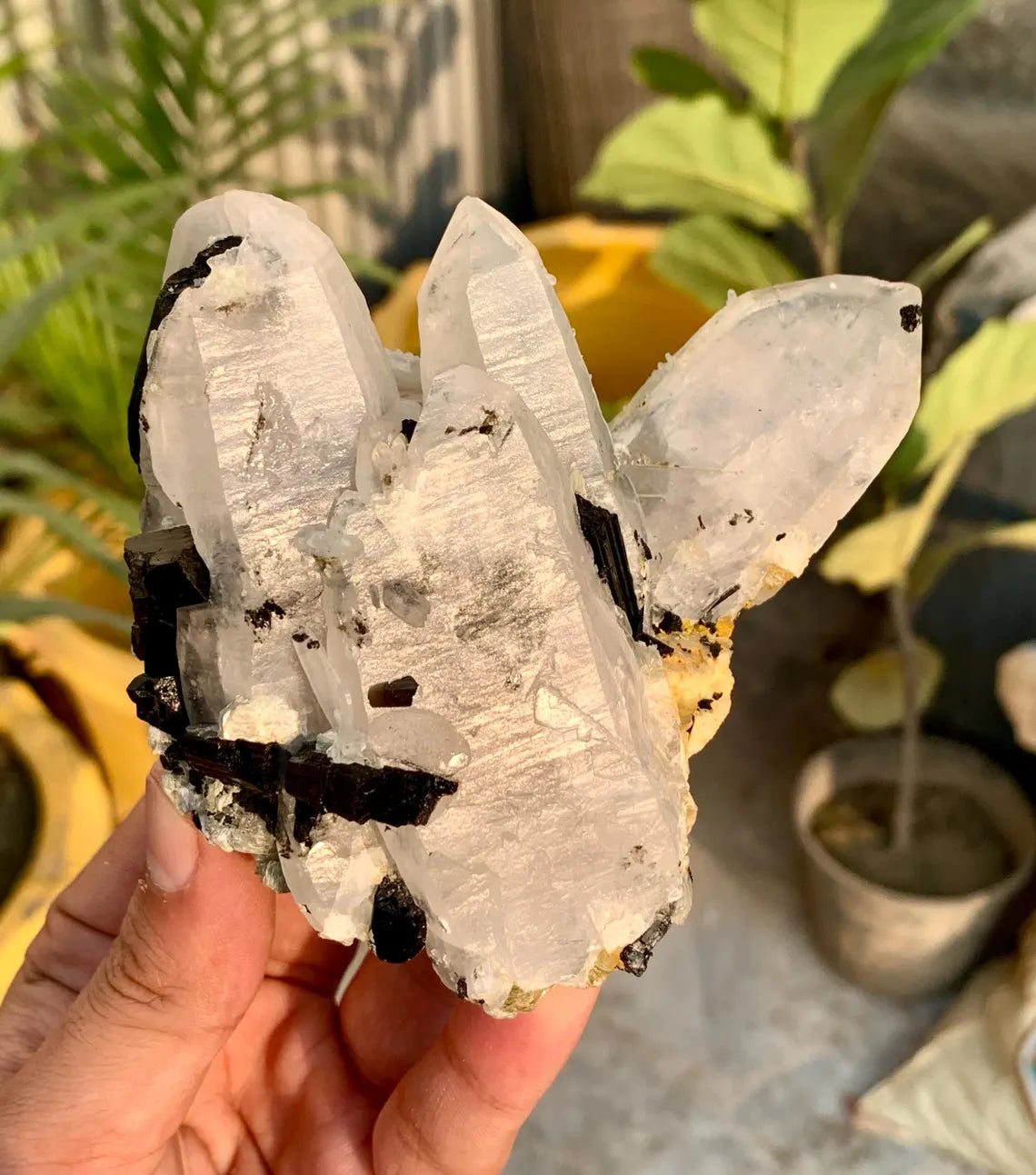 Quartz Crystals Combine Schorl Black Tourmalines from Skardu Pakistan - 428 grams