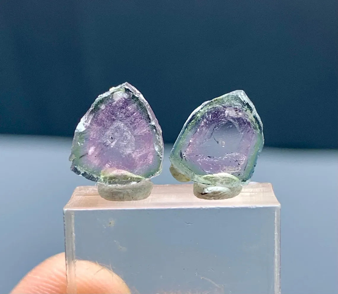 Watermelon Tourmaline Slice Pair from Paprok Afghanistan - 05 carats