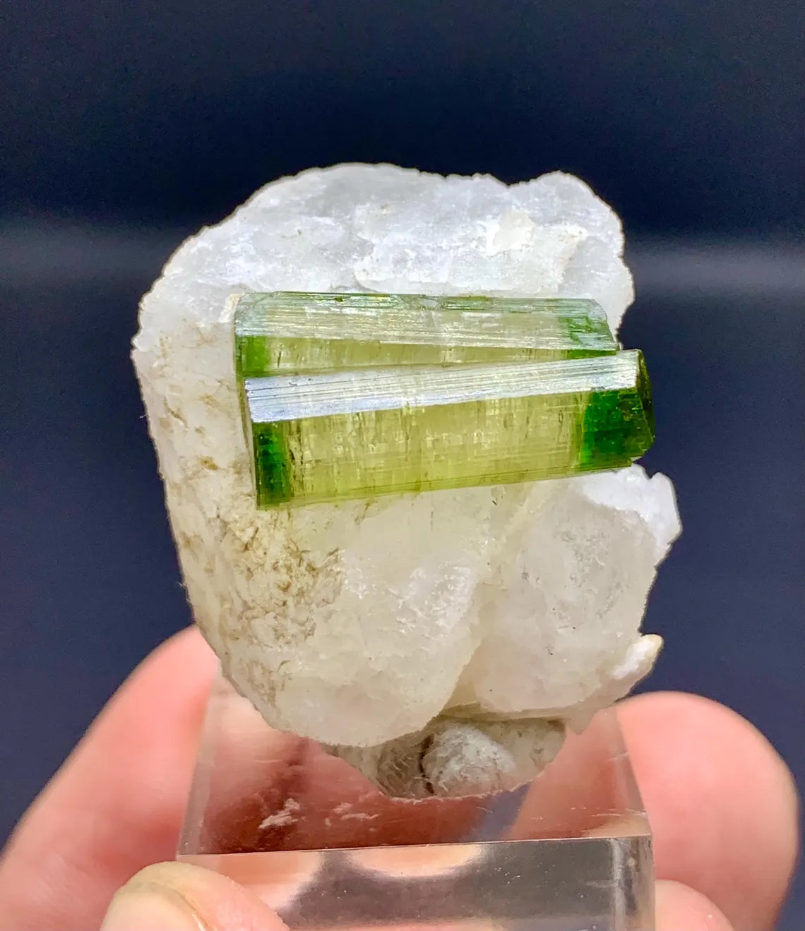 Green Tourmaline Crystals on Etched Pollucite from Pakistan - 26 gram