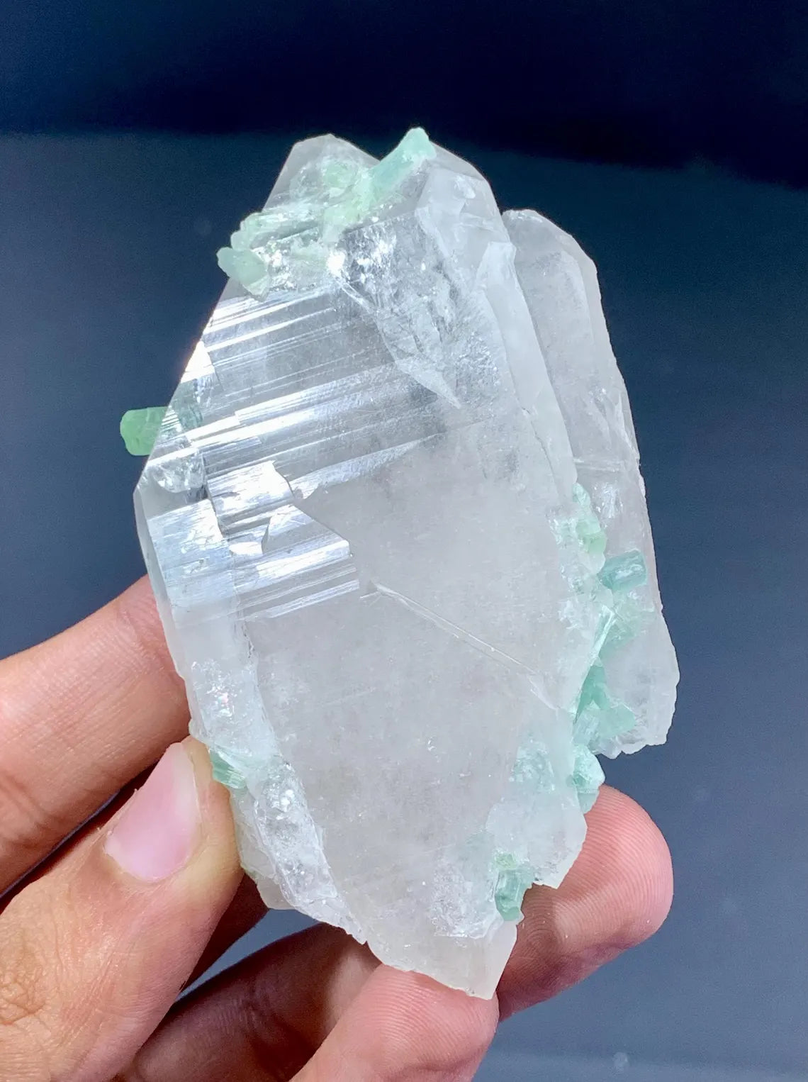 Tourmaline Crystals on Tabby Quartz from Afghanistan - 90 gram