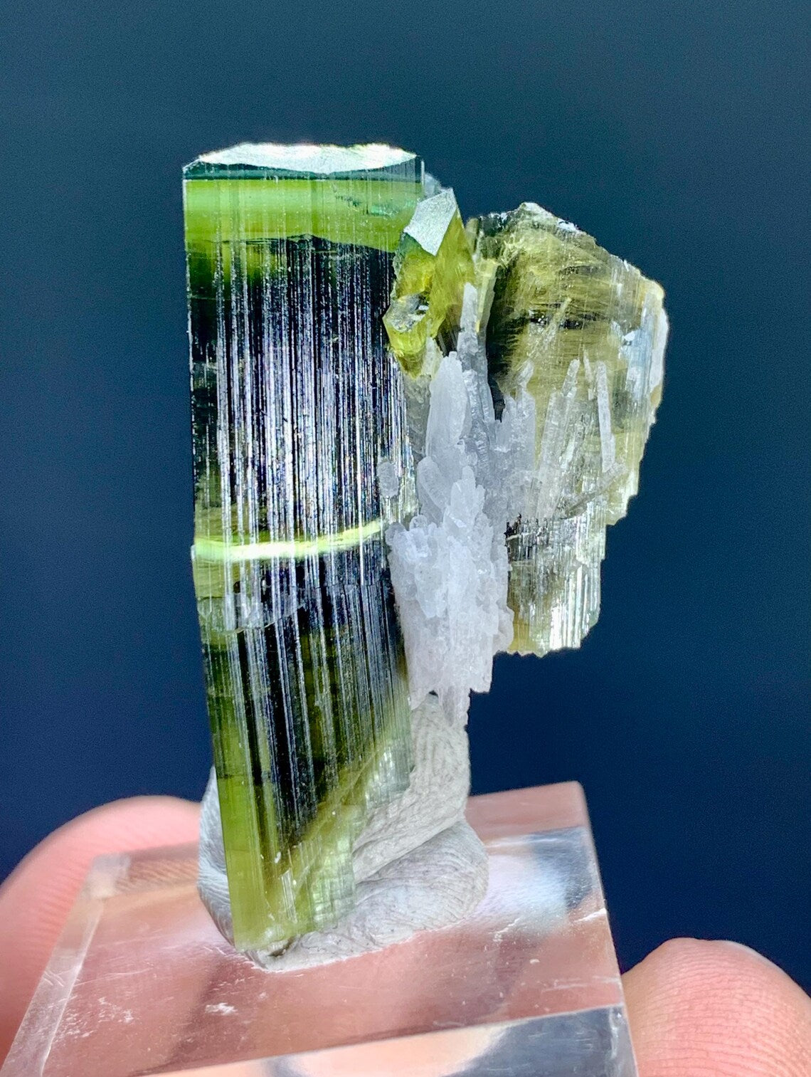 Bicolor Tourmaline Crystal from Astak Nala Mine Pakistan - 48.50 carat