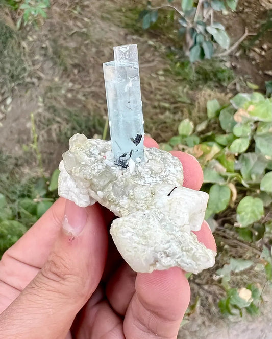 Aquamarine with Schorl on Albite (Repaired) Aquamarine Specimen from Pakistan - 43 gram