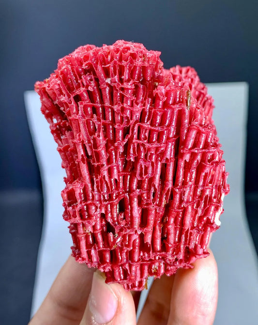 Red Coral Specimen - 36 gram