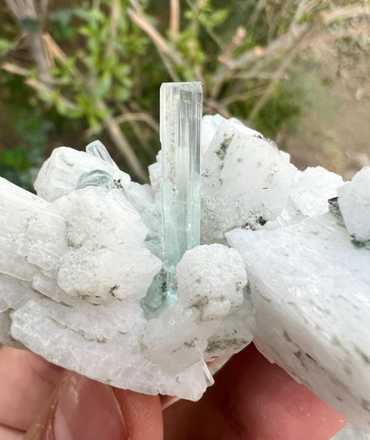 Aquamarine Crystals on Feldspar from Shigar valley Pakistan - 50 gram