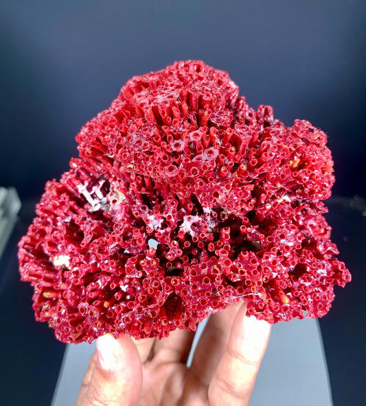 Red Coral Specimen - 111 gram