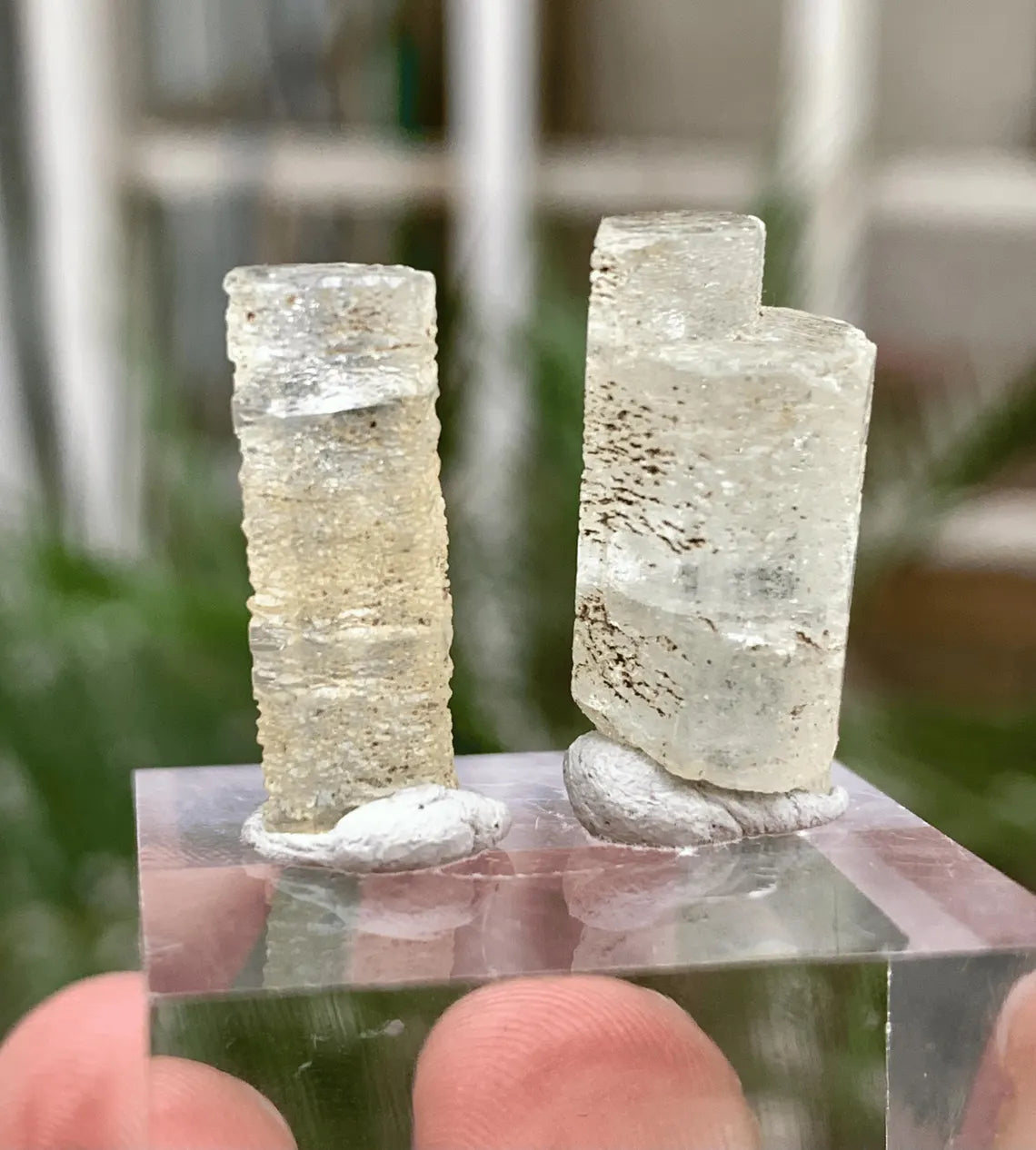 Aquamarine Crystals Pair from Afghanistan - 22.00 Carats