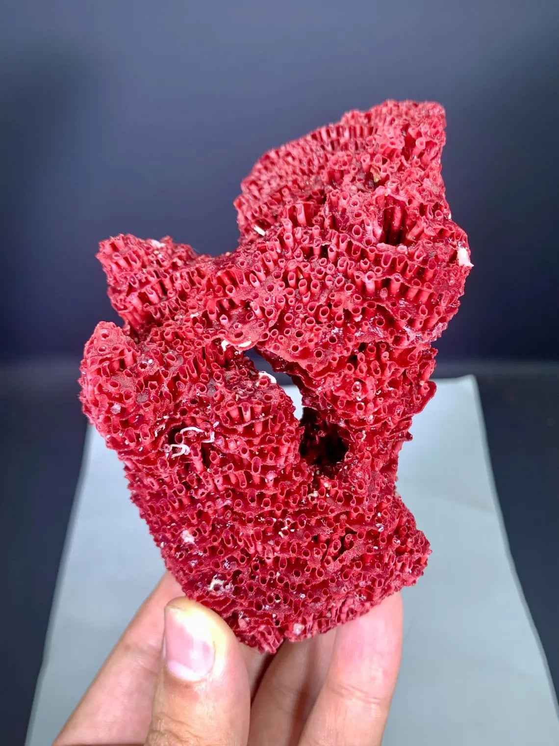 Natural Red Coral Specimen - 100 gram
