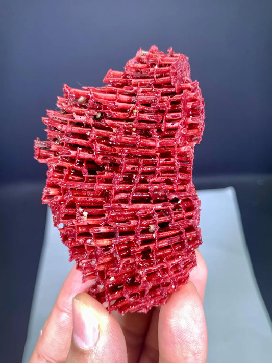 Natural Red Coral Specimen - 26 gram