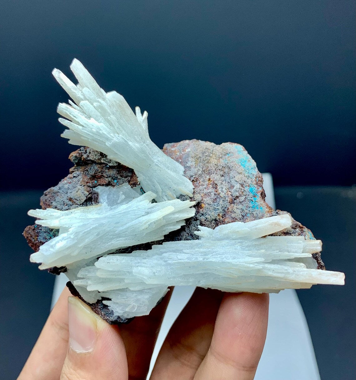 Crystallized White Aragonite with Chryosocolla on Matrix from Baluchistan, Pakistan - 144 grams