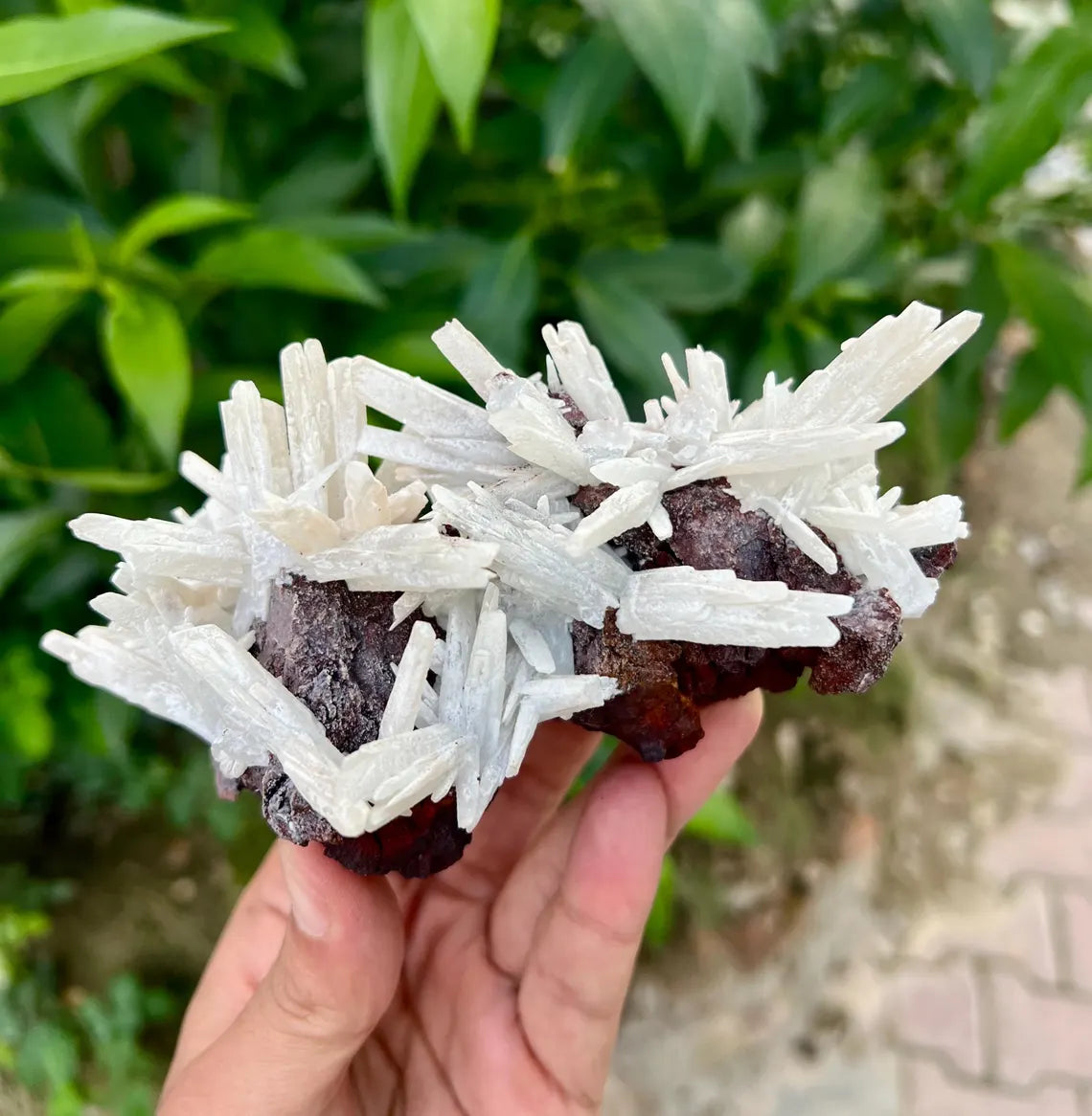 Aragonite Cluster on Matrix from Pakistan - 390 grams