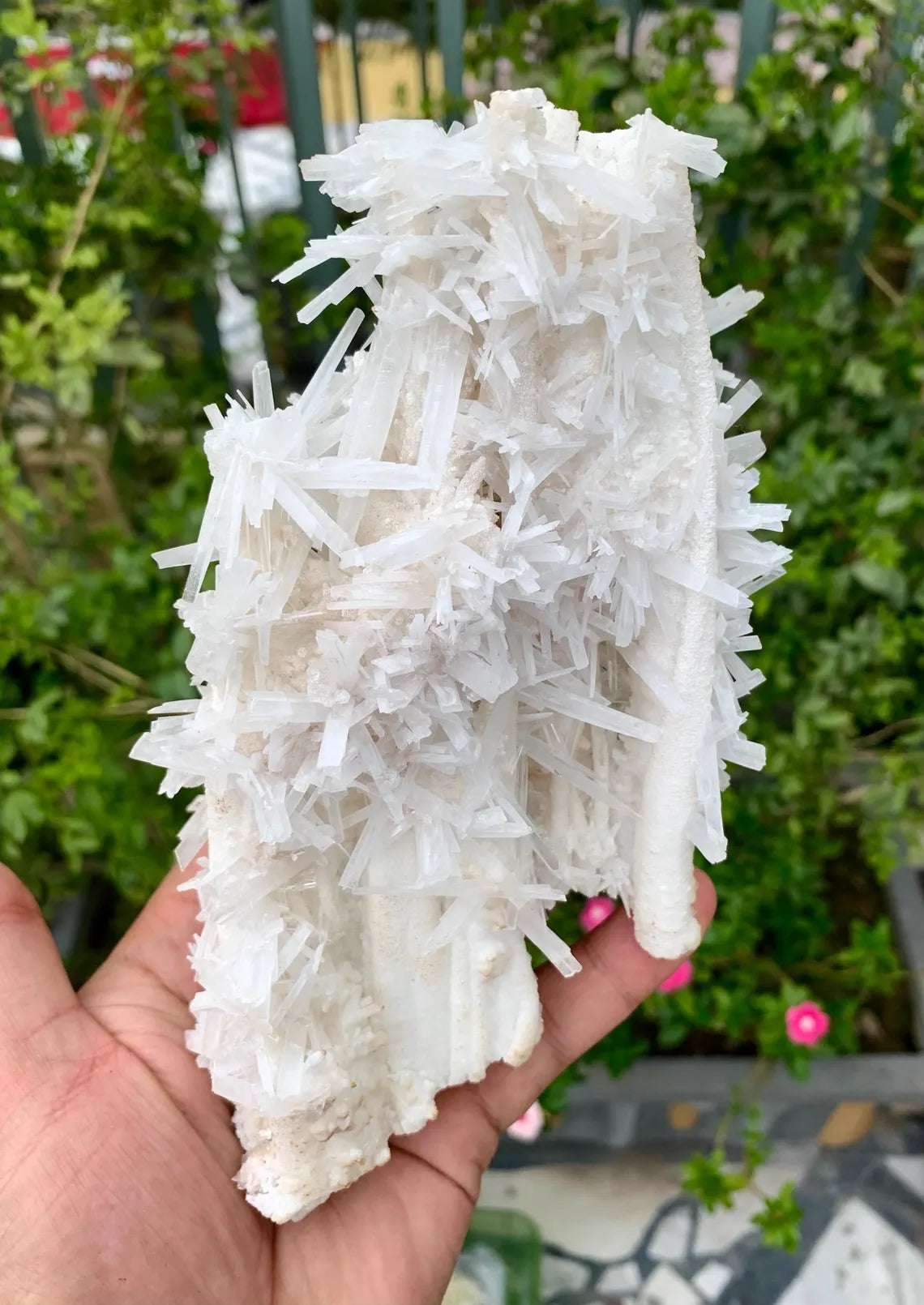 Aragonite Specimen from Pakistan - 572 gram