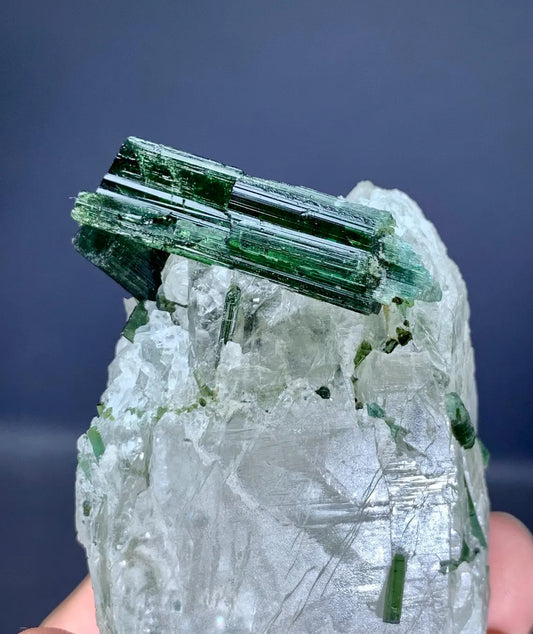 Tourmaline Crystals on Quartz from Afghanistan - 184 gram