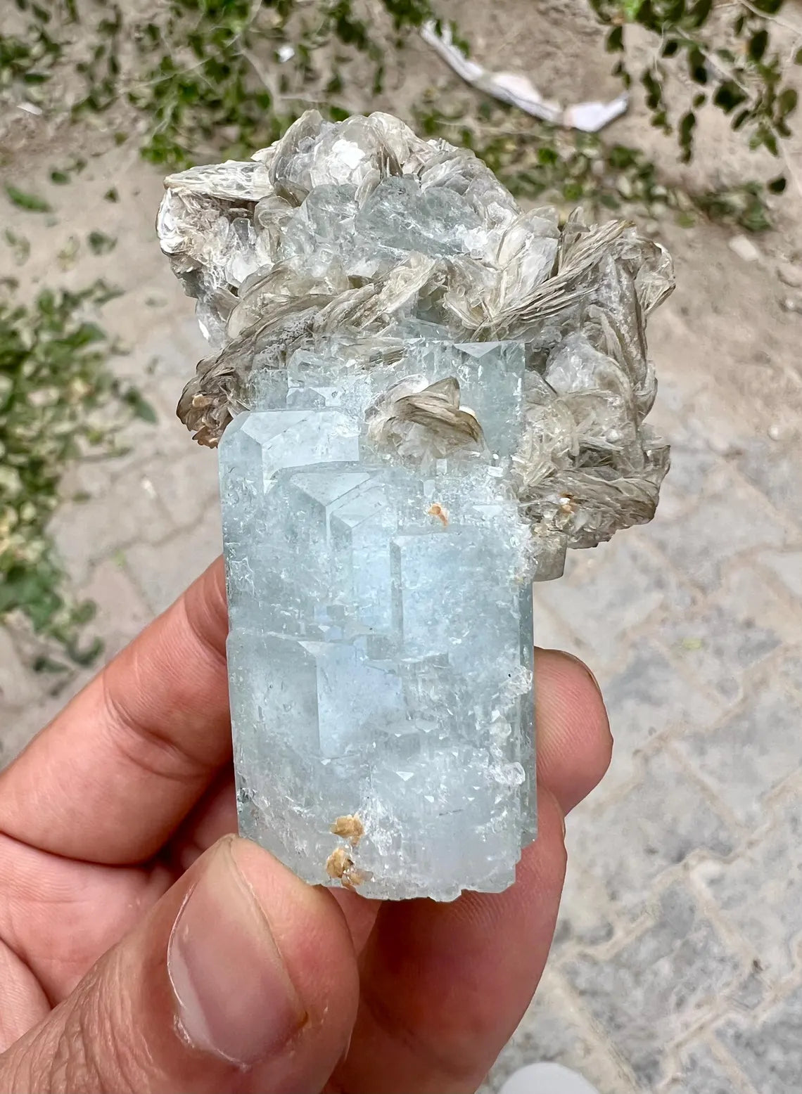 DT Sky Blue Aquamarine on Muscovite Mica from Nagar valley Pakistan - 83 gram