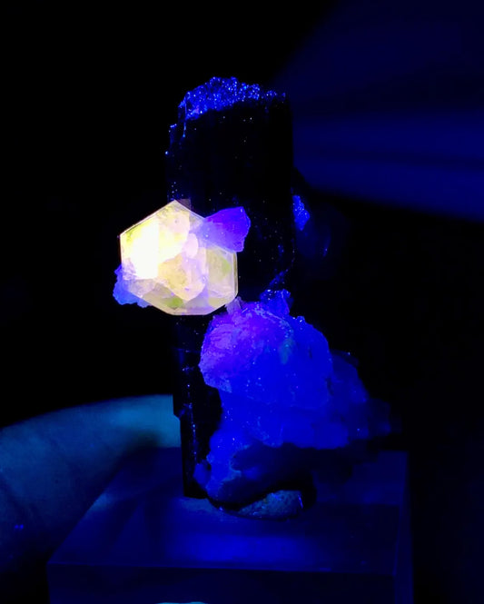 Fluorescent Pink Apatite on Etched Schorl and Albite from Skardu Pakistan - 16 gram