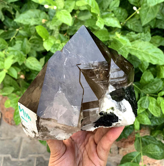 Collection Grade Smoky Quartz Specimen from Pakistan - 2278 Grams