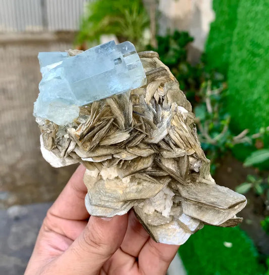 Sky Blue Aquamarine Crystal on Mica from Pakistan - 340 Grams