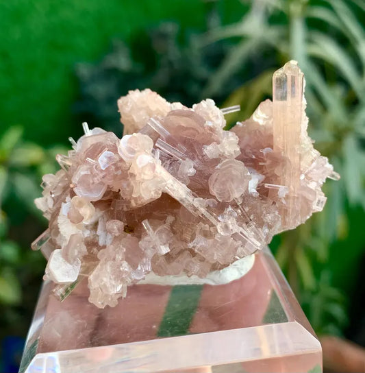 Orange Pink Tourmaline Cluster on Lepidolite from Afghanistan - 59 Gram