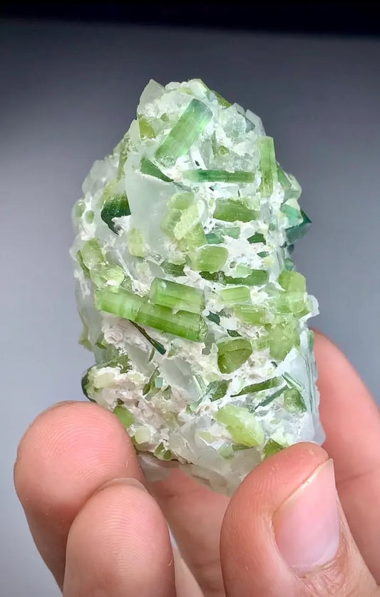 Blue Green Tourmaline Crystals on Quartz from Afghanistan - 119 Gram
