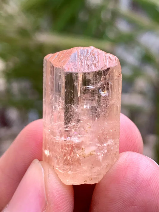 NAtural Imperial Katlang Topaz Crysstal from Pakistan - 53.00 Carats