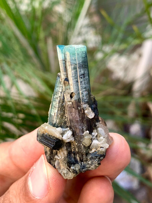Bicolor Tourmaline Crystalls with Quartz combined from Afghanistan - 14 Gram