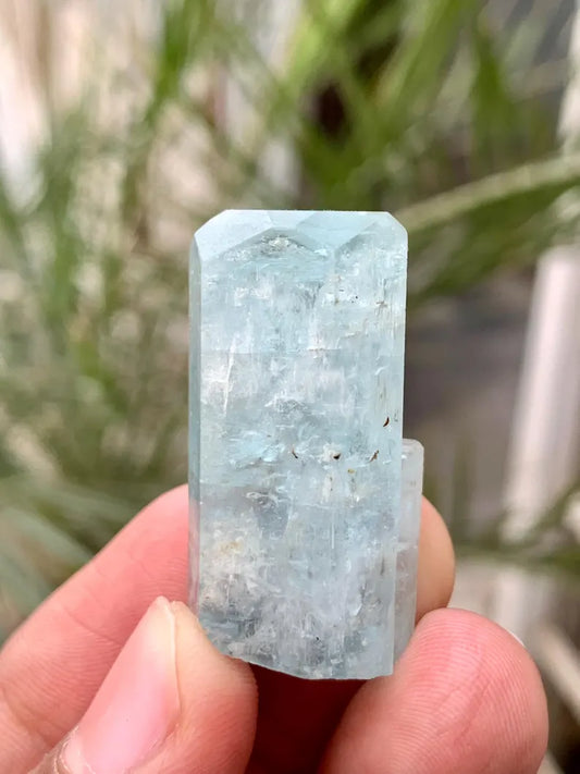 Diamond Cut Blue Aquamarine Crystals Gem from Afghanistan